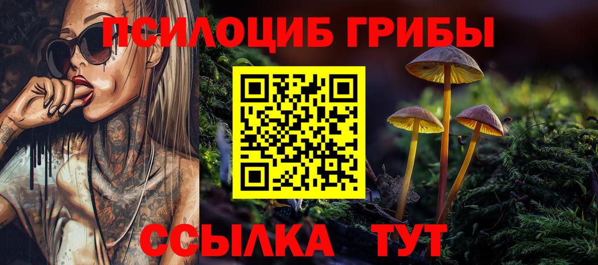 Псилоцибиновые грибы Cubensis  Вход с VPN  Псилоцибиновые грибы MAGIC MUSHROOMS  Зеленогорск 