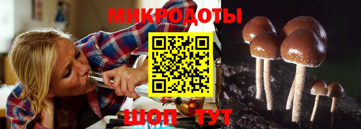 Псилоцибиновые грибы Magic Shrooms Зеленогорск